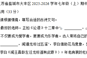 江苏省盐城市大丰区2025-2026学年七年级上学期11月期中语文试题（含答案）