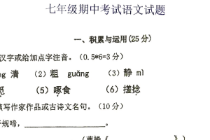 江苏省徐州市沛县五中联盟学区2025-2026学年七年级上学期11月期中语文试题（含答案）
