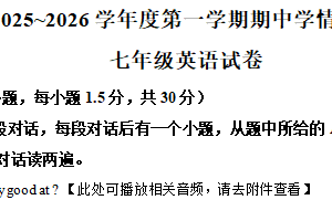 江苏省徐州市泉山区初中联考2025-2026学年七年级上学期11月期中考试英语试题（含解析+听力音频）
