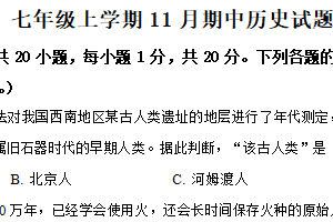 江苏省宿迁市宿豫区2025-2026学年七年级上学期11月期中历史试题（含解析）