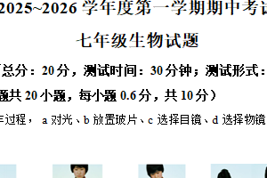 江苏省盐城市建湖县2025-2026学年七年级上学期期中生物试题（含解析）