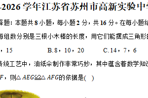 江苏省苏州市虎丘区苏州高新实验中学2025-2026学年八年级上学期期中数学试卷（含解析）