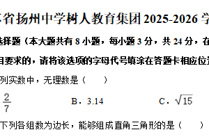 江苏省扬州中学树人教育集团2025-2026学年上学期八年级期中数学试卷（含解析）