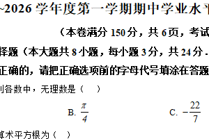 江苏省连云港市赣榆区2025-2026学年八年级上学期11月期中数学试题（含解析）