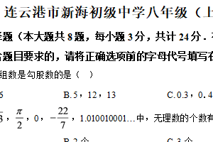 江苏省连云港市新海初级中学2025-2026学年上学期期中考试八年级数学模拟试卷（含解析）