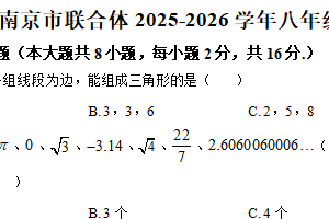 江苏省南京市联合体2025-2026学年八年级上学期期中数学练习卷（含解析）