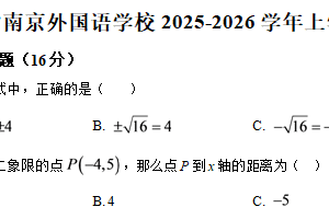 江苏省南京外国语学校2025-2026学年八年级上学期期中数学试卷（含解析）