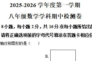 江苏省南京玄武外国语学校2025-2026学年上学期八年级数学期中真题（含解析）