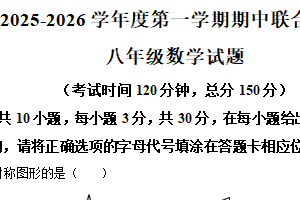 江苏省南通市海安市十三校联考2025-2026学年八年级上学期11月期中数学试题（含解析）