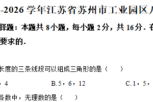 江苏省苏州市工业园区2025-2026学年八年级上学期期中数学试卷（含解析）