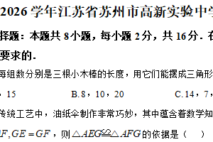 江苏省苏州市虎丘区苏州高新实验中学2025-2026学年八年级上学期期中数学试卷（含解析）