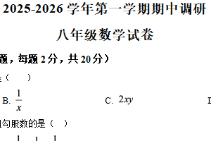 江苏省苏州市星湾学校2025-2026学年八年级上学期期中考试数学试卷（含解析）