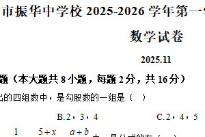 江苏省苏州市振华中学校2025—2026学年八年级上学期 数学 期中试题（含解析）