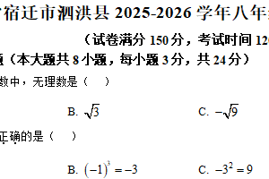 江苏省宿迁市泗洪县2025-2026学年八年级上学期期中数学试卷（含解析）