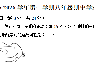 江苏省宿迁市泗阳县2025-2026学年八年级上学期期中学业水平监测数学试卷（含解析）