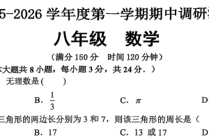 江苏省宿迁市宿城区2025-2026学年八年级上学期11月期中数学试题（含答案）
