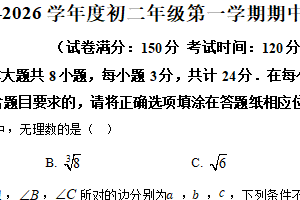 江苏省宿迁市宿迁经济技术开发区2025-2026学年上学期八年级数学期中试卷（含解析）