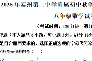 江苏省泰州市第二中学附属初中2025-2026学年上学期八年级数学期中试卷（含解析）