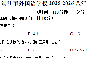 江苏省泰州市靖江市外国语学校2025-2026学年八年级上学期期中数学试卷（含解析）