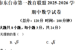 江苏省盐城市东台市第一教育联盟2025-2026学年八年级上学期11月期中数学试题（含解析）