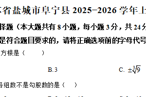 江苏省盐城市阜宁县2025-2026学年上学期八年级期中数学试卷（含解析）