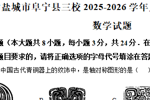 江苏省盐城市阜宁县三校2025-2026学年八年级上学期11月期中数学试题（含解析）