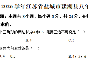 江苏省盐城市建湖县2025-2026学年八年级上学期期中数学试卷（含解析）
