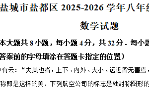 江苏省盐城市盐都区2025-2026学年八年级上学期11月期中数学试题（含解析）