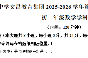 江苏省扬州中学文昌教有集团2025-2026学年上学期期中考试试卷 八年级数学（含解析）