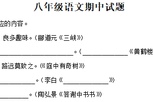 江苏省徐州市沛县初级学区2025-2026学年八年级上学期期中语文试题（含解析）