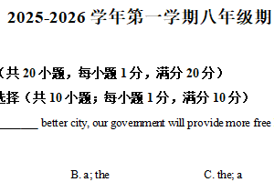 江苏省常州市第二十四中学2025-2026学年八年级上学期11月期中考试英语试题（含解析）