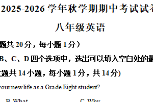 江苏省无锡市经开区2025-2026学年八年级上学期期中英语试题（含解析）