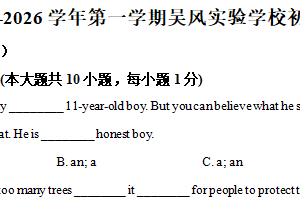 江苏省无锡市新吴实验中学2025-2026学年上学期八年级英语期中卷（含解析）