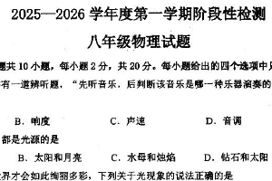 江苏省连云港市东海县2025-2026学年八年级上学期11月期中物理试题（含答案）