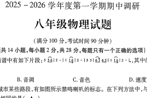 江苏省徐州市沛县2025-2026学年八年级上学期11月期中物理试题（含答案）