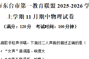 江苏省盐城市东台市第一教育联盟2025-2026学年八年级上学期11月期中物理试题（含解析）