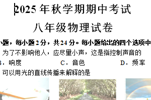 江苏省盐城市射阳县实验初级中学2025-2026学年八年级上学期11月期中物理试题（含答案）