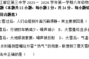 江苏省扬州市江都区第三中学2025-2026学年八年级上学期期中考试物理试题（含部分答案）