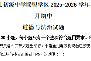 江苏省徐州市沛县初级中学联盟学区2025-2026学年八年级上学期11月期中道德与法治试题（含解析）