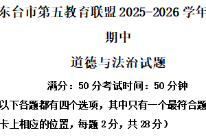 江苏省盐城市东台市第五教育联盟2025-2026学年八年级上学期11月期中道德与法治试题（含解析）