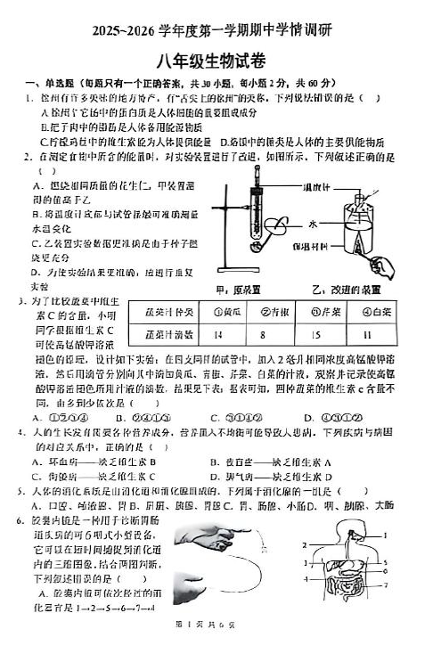 江苏省徐州市泉山区2025-2026学年八年级上学期11月期中生物试题(含答案)
