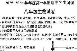江苏省徐州市泉山区2025-2026学年八年级上学期11月期中生物试题（含答案）