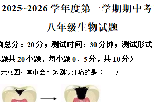 江苏省盐城市建湖县2025-2026学年八年级上学期期中生物学试题（含解析）