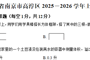 2025-2026学年江苏省南京市高淳区苏教版六年级上册期中测试数学试卷（含解析）