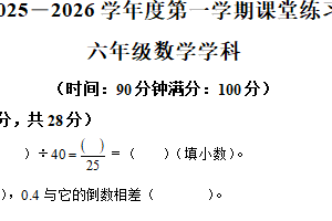 2025-2026学年江苏省宿迁市宿城区宿迁市实验小学苏教版六年级上册期中测试数学试卷（含解析）