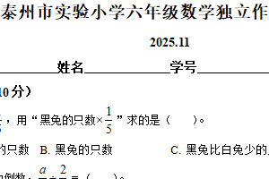 2025-2026学年江苏省泰州市实验小学苏教版六年级上册期中测试数学试卷（含解析）