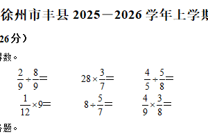 2025-2026学年江苏省徐州市丰县苏教版六年级上册期中测试数学试卷（含解析）