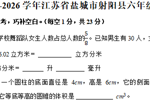 江苏省盐城市射阳县2025-2026学年六年级上学期期中阶段数学试卷（含解析）