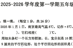 江苏省南京市第二十九中学天润城分校小学2025~2026学年度第一学期期中五年级数学阶段性练习（无答案）
