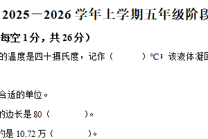 2025-2026学年江苏省苏州市沧浪新城第四实验小学苏教版五年级上册期中阶段阶段练习数学试卷（含解析）